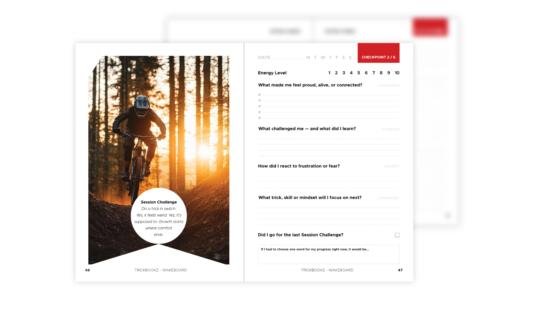 Reflect on your progress